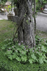 Tina_0493-016